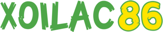 owltail.com